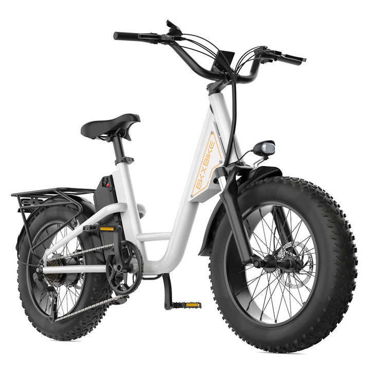 EKX L1 Electric Bike 20‘’*4.0 Fat Tires 1000W Motor 48V20AH Lithium Battery Road Electric Bicycle For Adults Mountain E-Bike MTB