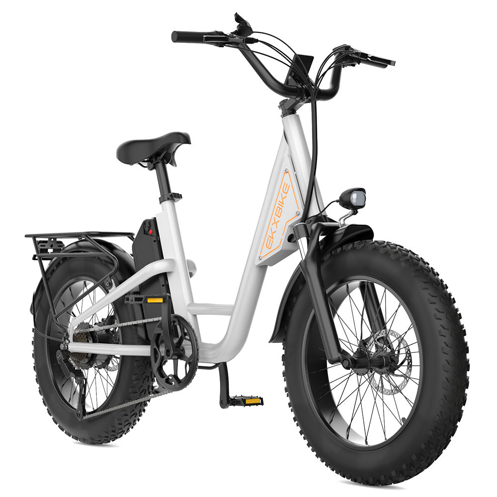 EKX L1 Electric Bike 20‘’*4.0 Fat Tires 1000W Motor 48V20AH Lithium Battery Road Electric Bicycle For Adults Mountain E-Bike MTB