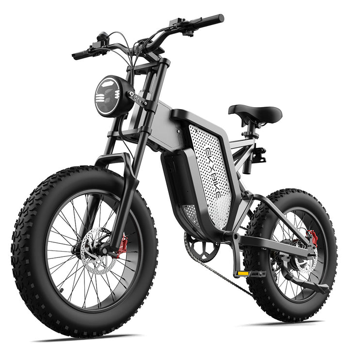 EKX X20 Electric Bike Mountain Moped Ebike 20 Inch Fat Tire 2000W 48V 35AH Men's Road EBike Electric Bicycle For Adults E Bikes