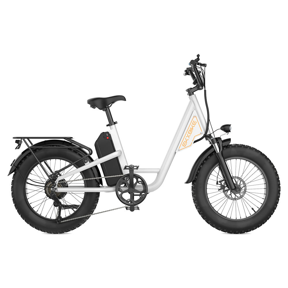 EKX L1 Electric Bike 20‘’*4.0 Fat Tires 1000W Motor 48V20AH Lithium Battery Road Electric Bicycle For Adults Mountain E-Bike MTB