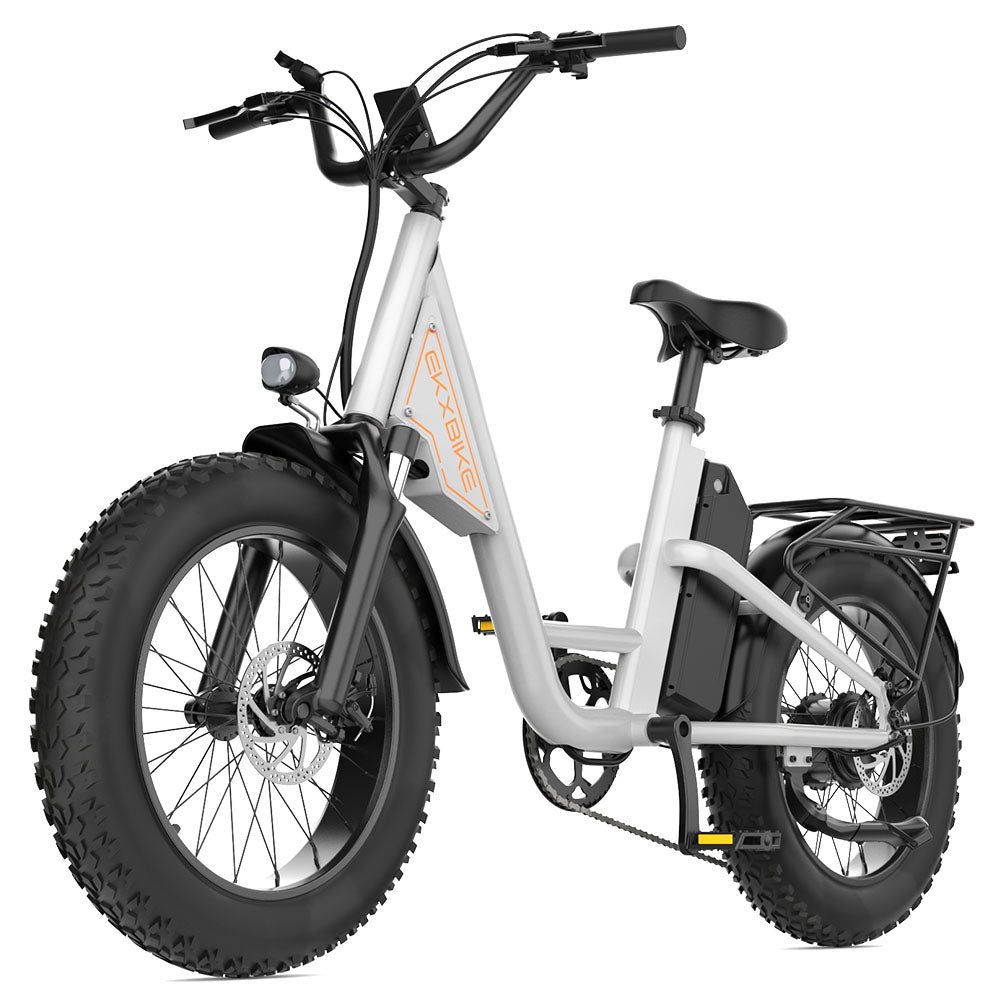 EKX L1 Electric Bike 20‘’*4.0 Fat Tires 1000W Motor 48V20AH Lithium Battery Road Electric Bicycle For Adults Mountain E-Bike MTB