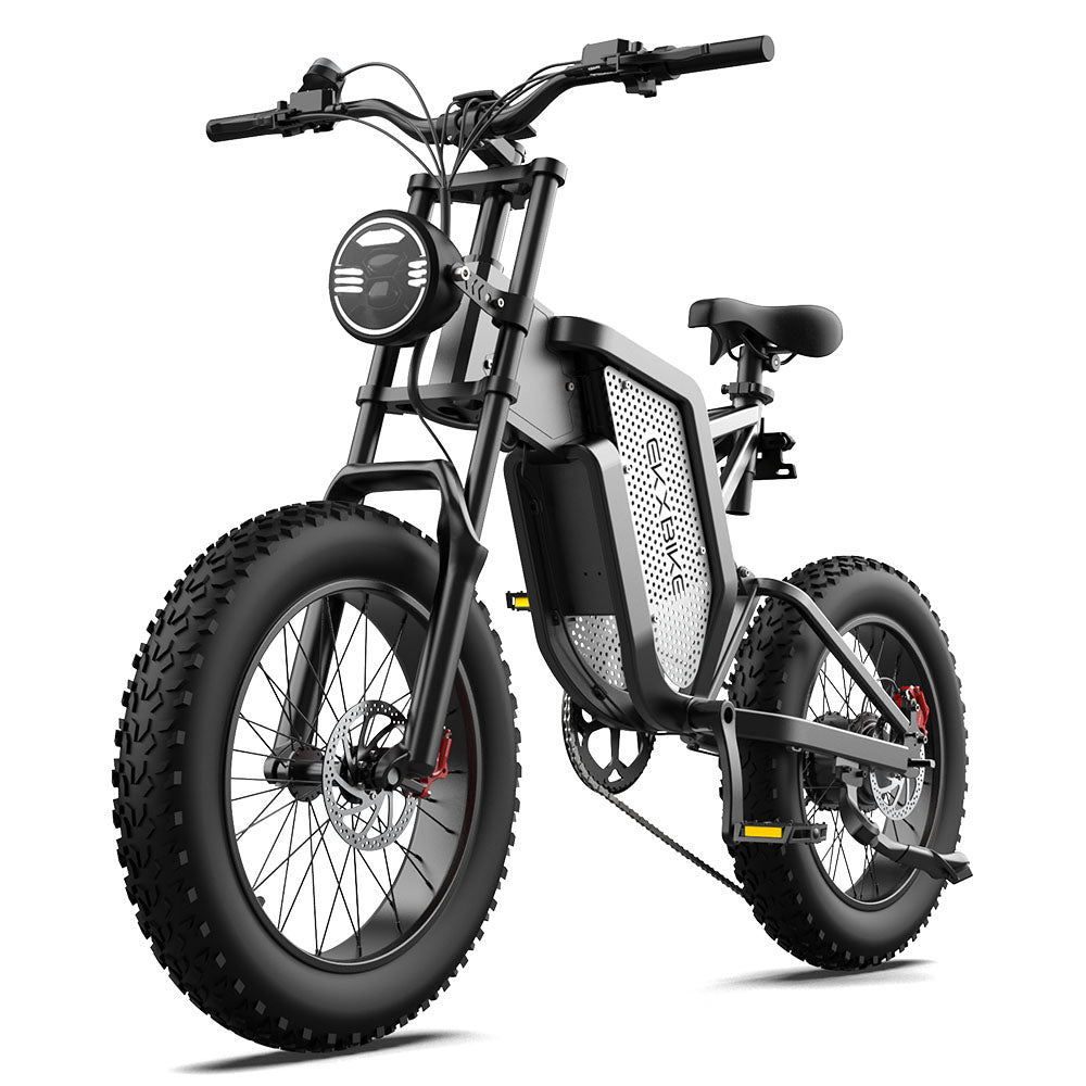 EKX X20 Electric Bike Mountain Moped Ebike 20 Inch Fat Tire 2000W 48V EKXBike Official