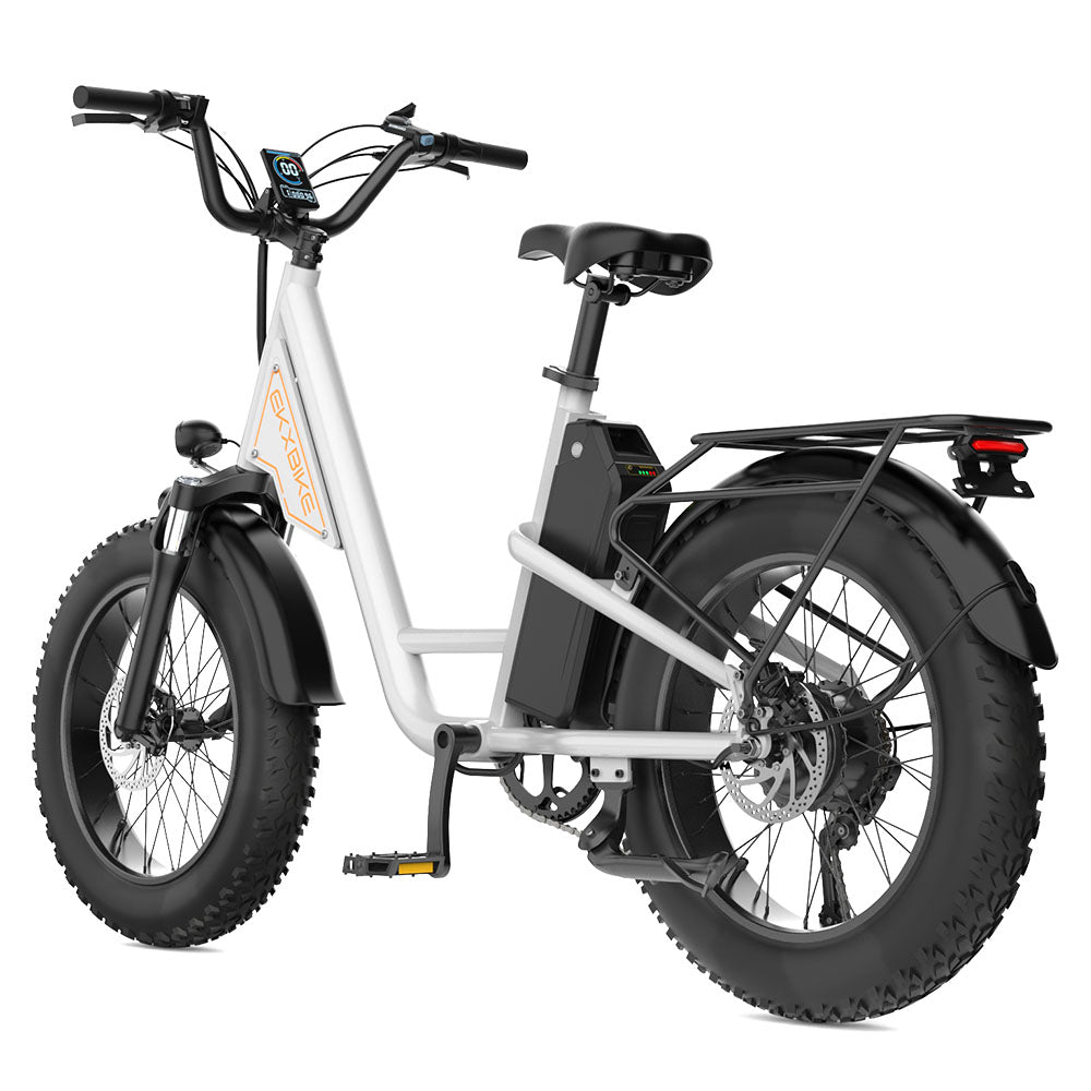 EKX L1 Electric Bike 20‘’*4.0 Fat Tires 1000W Motor 48V20AH Lithium Battery Road Electric Bicycle For Adults Mountain E-Bike MTB