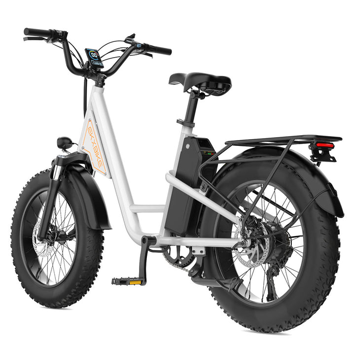 EKX L1 Electric Bike 20‘’*4.0 Fat Tires 1000W Motor 48V20AH Lithium Battery Road Electric Bicycle For Adults Mountain E-Bike MTB